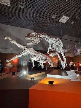 特別展「大絶滅展―生命史のビッグファイブ」に投稿された画像（2025/11/13）