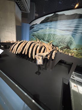 特別展「大絶滅展―生命史のビッグファイブ」に投稿された画像（2025/11/13）