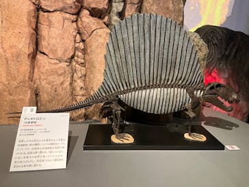 特別展「大絶滅展―生命史のビッグファイブ」に投稿された画像（2025/11/13）