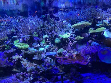 名古屋港水族館に投稿された画像（2025/11/13）