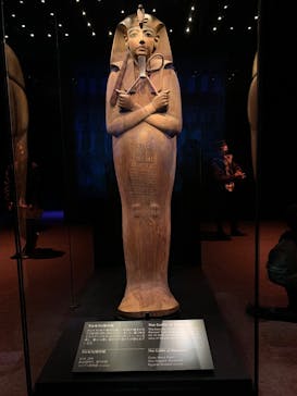 ACN ラムセス大王展 ファラオたちの黄金に投稿された画像（2025/11/13）