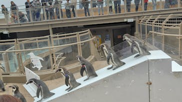 アクアワールド茨城県大洗水族館に投稿された画像（2025/11/13）