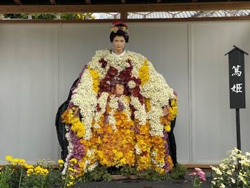 仙巌園に投稿された画像（2025/11/13）