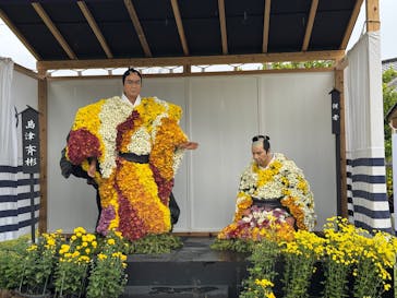 仙巌園に投稿された画像（2025/11/13）