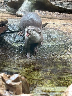 仙台うみの杜水族館に投稿された画像（2025/11/13）