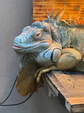 仙台うみの杜水族館に投稿された画像（2025/11/13）