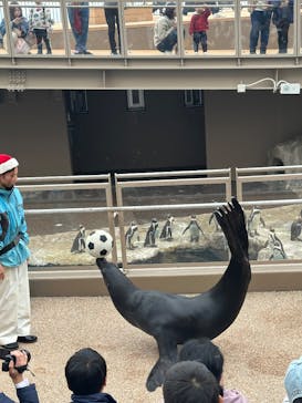 アクアワールド茨城県大洗水族館に投稿された画像（2025/11/13）
