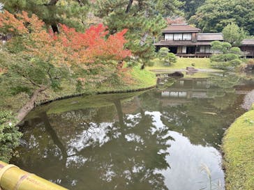 三溪園に投稿された画像（2025/11/13）