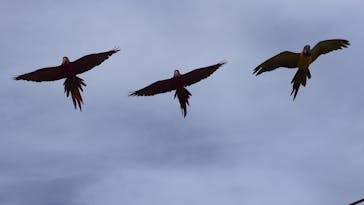 那須どうぶつ王国に投稿された画像（2025/11/13）