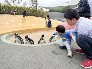 大分マリーンパレス水族館 「うみたまご」に投稿された画像（2025/11/13）