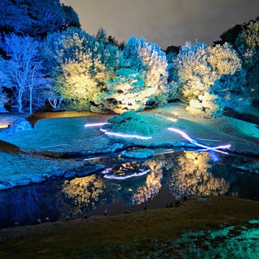 ZEN NIGHT WALK KAMAKURAに投稿された画像（2025/11/13）