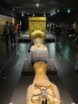 MYSTERY OF TUTANKHAMEN 体感型古代エジプト展に投稿された画像（2025/11/13）