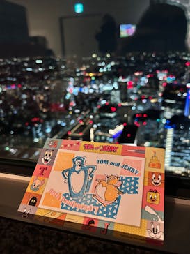 横浜ランドマークタワー 69階展望フロア スカイガーデンに投稿された画像（2025/11/13）