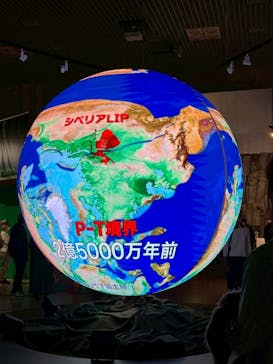 特別展「大絶滅展―生命史のビッグファイブ」に投稿された画像（2025/11/13）
