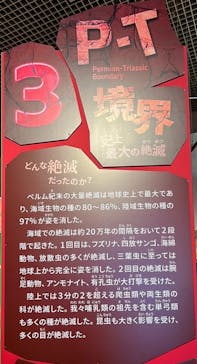 特別展「大絶滅展―生命史のビッグファイブ」に投稿された画像（2025/11/13）