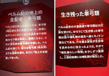 特別展「大絶滅展―生命史のビッグファイブ」に投稿された画像（2025/11/13）