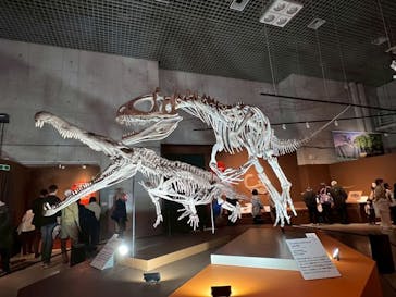 特別展「大絶滅展―生命史のビッグファイブ」に投稿された画像（2025/11/13）