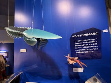 特別展「大絶滅展―生命史のビッグファイブ」に投稿された画像（2025/11/13）