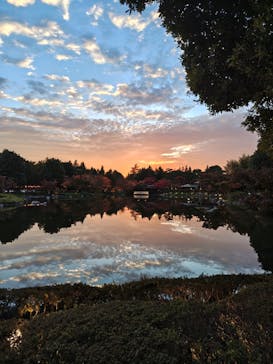 国営昭和記念公園 秋の夜散歩に投稿された画像（2025/11/13）