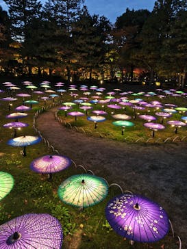 国営昭和記念公園 秋の夜散歩に投稿された画像（2025/11/13）