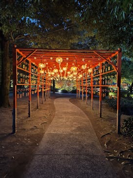 国営昭和記念公園 秋の夜散歩に投稿された画像（2025/11/13）