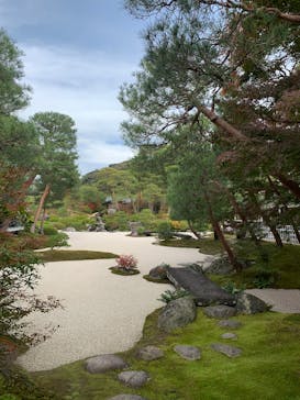 足立美術館に投稿された画像（2025/11/13）