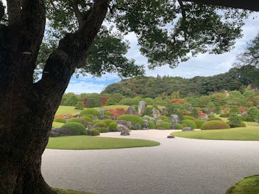 足立美術館に投稿された画像（2025/11/13）