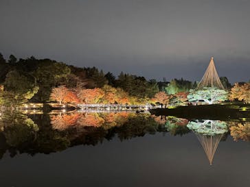 国営昭和記念公園 秋の夜散歩に投稿された画像（2025/11/13）