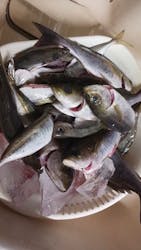 With Ocean（ウィズオーシャン）に投稿された画像（2025/11/13）