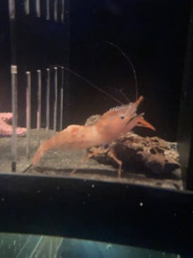 アクアワールド茨城県大洗水族館に投稿された画像（2025/11/13）