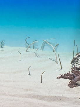アクアワールド茨城県大洗水族館に投稿された画像（2025/11/13）