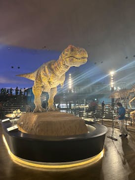福井県立恐竜博物館に投稿された画像（2025/11/13）