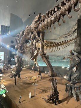 福井県立恐竜博物館に投稿された画像（2025/11/13）