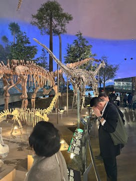 福井県立恐竜博物館に投稿された画像（2025/11/13）