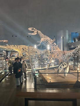 福井県立恐竜博物館に投稿された画像（2025/11/13）