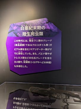 特別展「大絶滅展―生命史のビッグファイブ」に投稿された画像（2025/11/13）