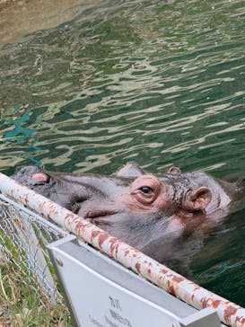 名古屋市東山動植物園に投稿された画像（2025/11/13）