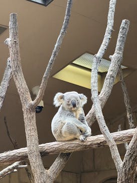 名古屋市東山動植物園に投稿された画像（2025/11/13）
