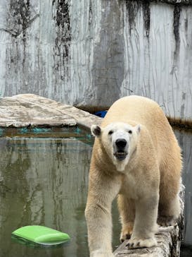 名古屋市東山動植物園に投稿された画像（2025/11/13）