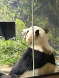 恩賜上野動物園に投稿された画像（2025/11/13）