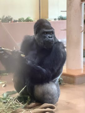 名古屋市東山動植物園に投稿された画像（2025/11/13）