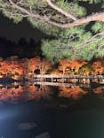 国営昭和記念公園 秋の夜散歩に投稿された画像（2025/11/13）