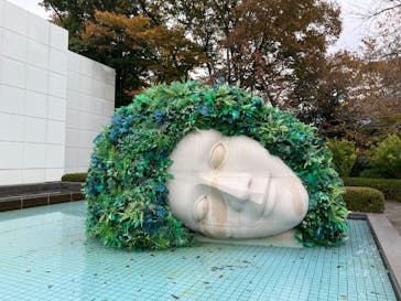 彫刻の森美術館に投稿された画像（2025/11/13）