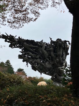 彫刻の森美術館に投稿された画像（2025/11/13）