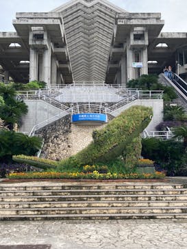 沖縄美ら海水族館に投稿された画像（2025/11/13）