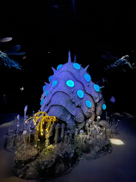 金曜ロードショーとジブリ展（静岡展）に投稿された画像（2025/11/13）