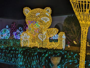 神戸イルミナージュに投稿された画像（2025/11/13）