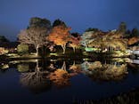 国営昭和記念公園 秋の夜散歩に投稿された画像（2025/11/14）