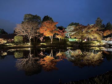 国営昭和記念公園 秋の夜散歩に投稿された画像（2025/11/13）