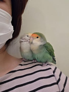 Moff animal cafe イオンモール幕張新都心店に投稿された画像（2025/11/13）